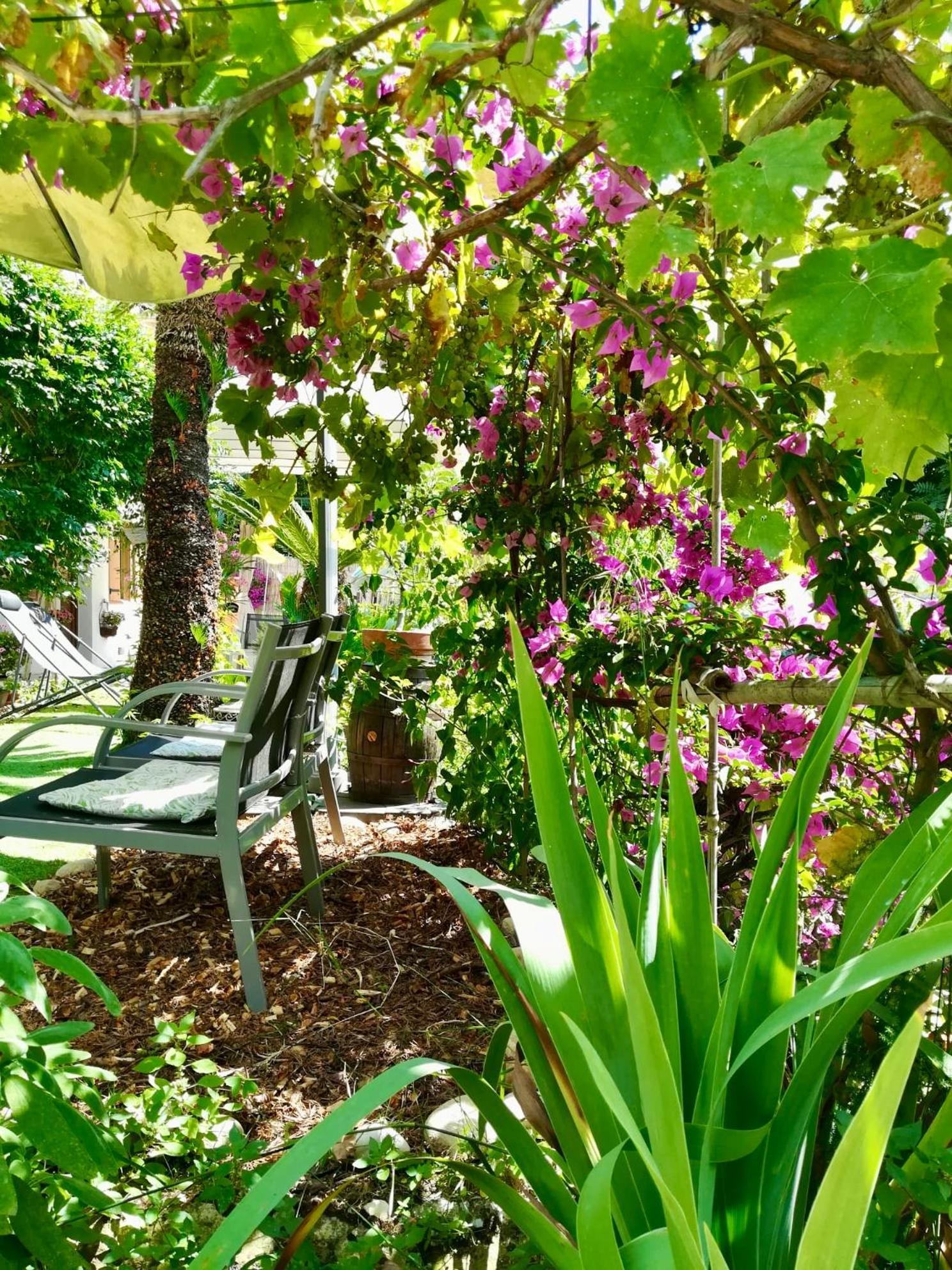 Villa Bellabe Ница Екстериор снимка