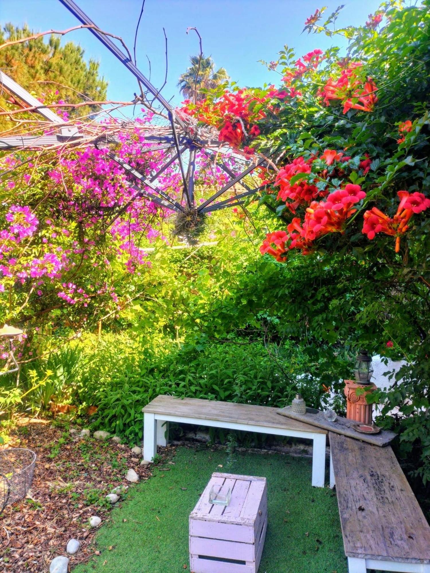 Villa Bellabe Ница Екстериор снимка