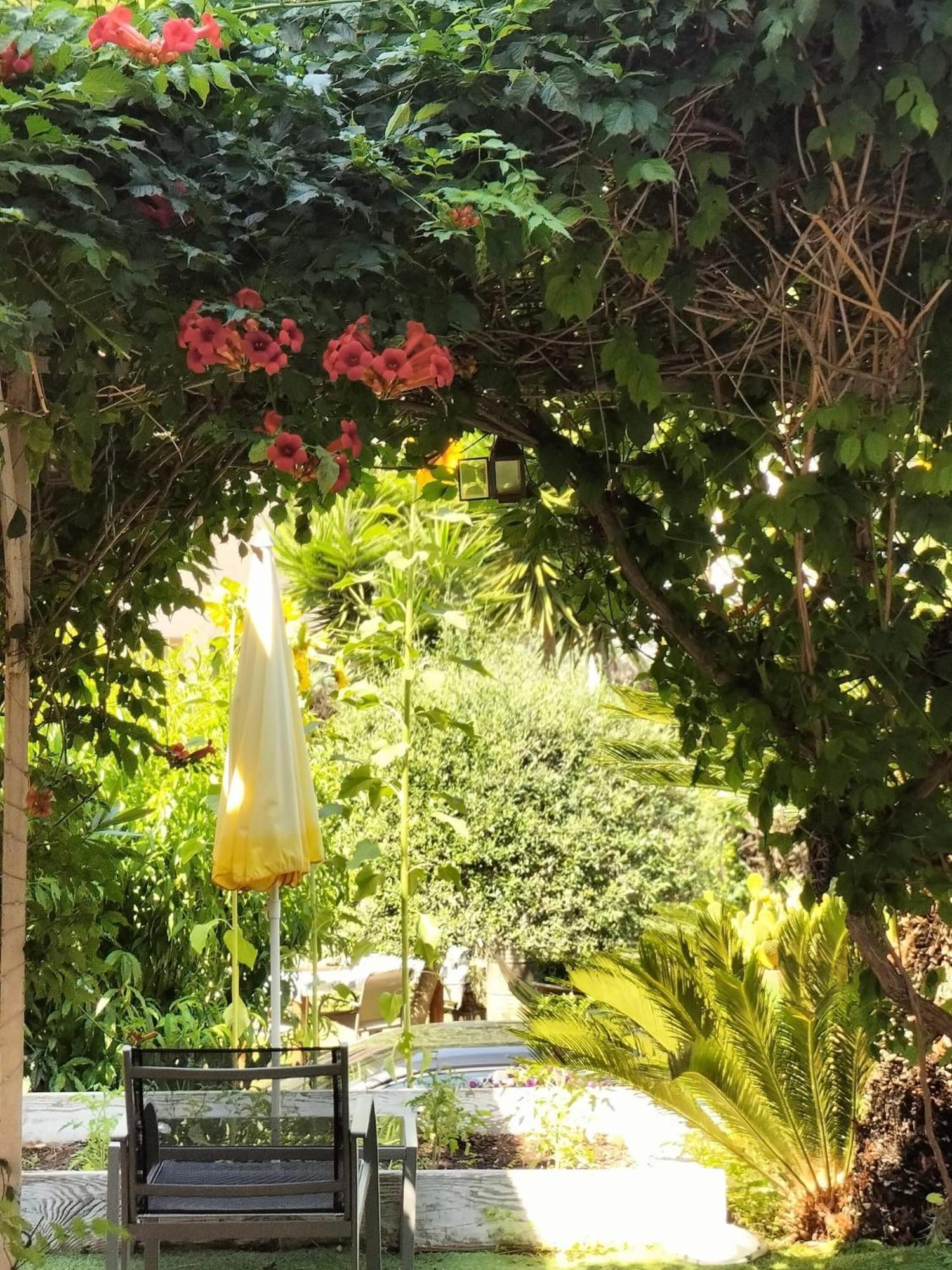 Villa Bellabe Ница Екстериор снимка